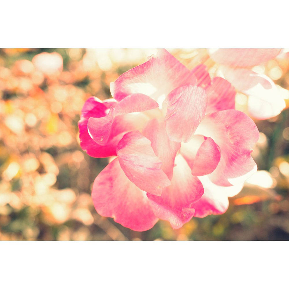 Фотоаппарат Ricoh GR IIIx HDF