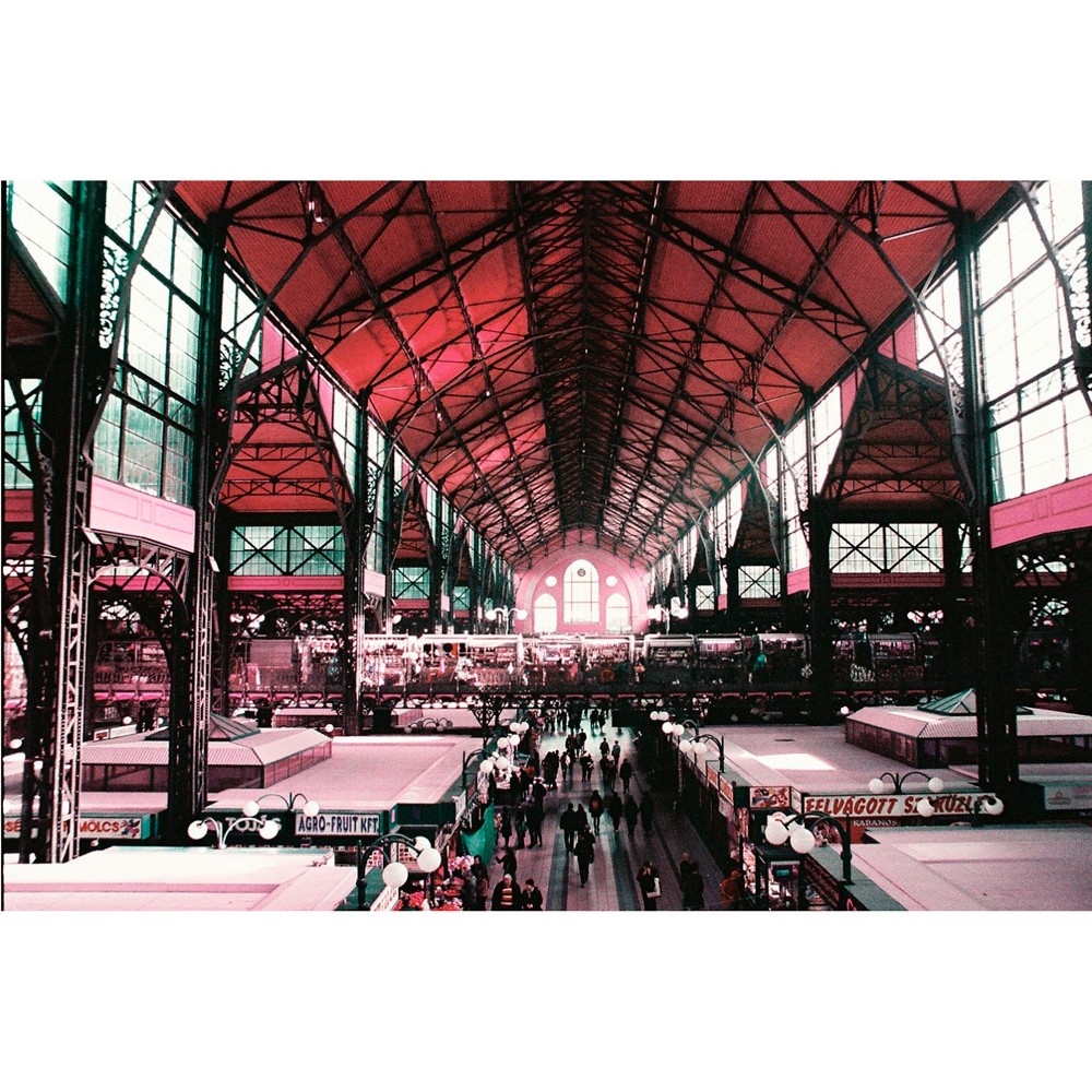 Фотопленка Lomography Lomochrome Purple XR 35 mm ISO 100-400, 36 кадров, 1 шт.