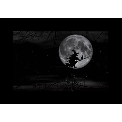 Набор слайдов Godox AK-S02 для насадки AK-R21 Хэллоуин