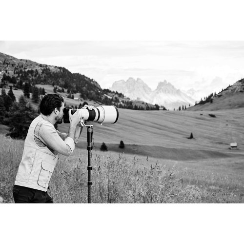 Монопод Gitzo GM4562 4 серии, 6 секций карбоновый