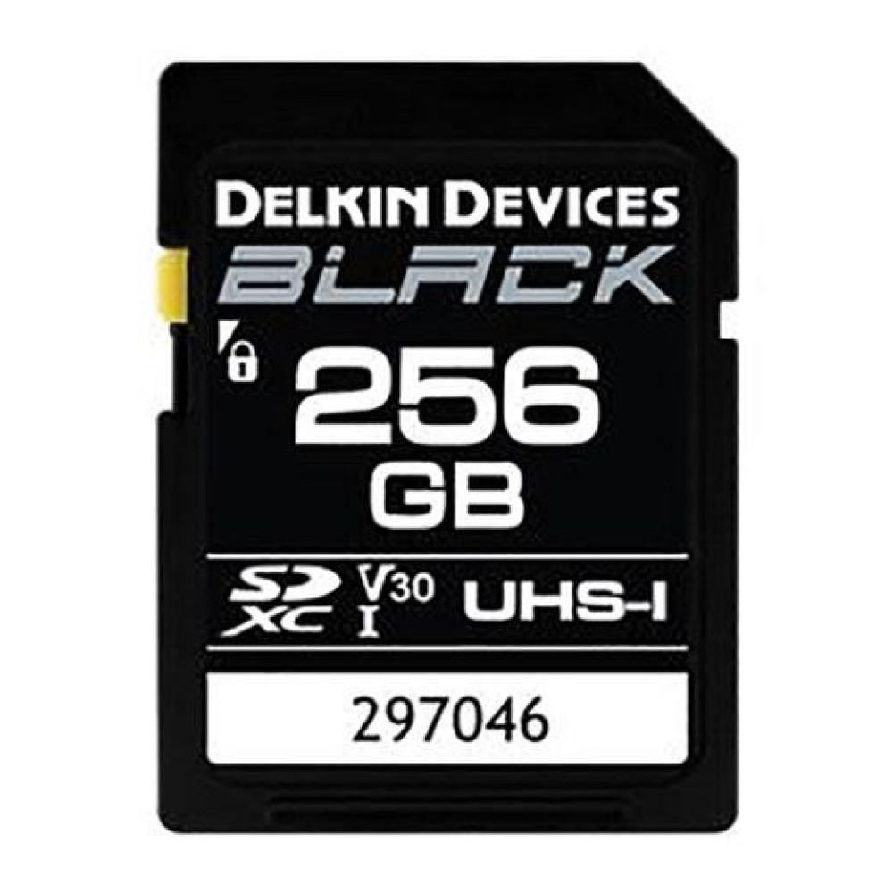 Карта памяти Delkin Devices Black SDXC 256GB UHS-I U3 V30, R/W 90/90 МБ/с