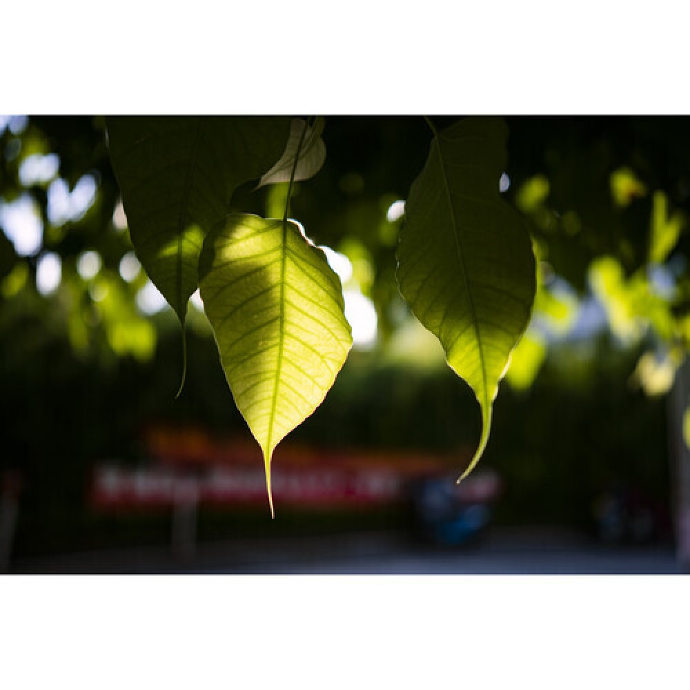 Объектив Viltrox AF 35mm F1.8 Z для Nikon Z