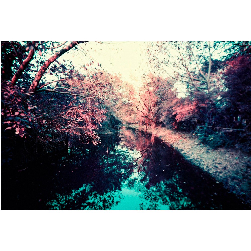 Фотопленка Lomography Lomochrome Purple XR 35 mm ISO 100-400, 36 кадров, 1 шт.