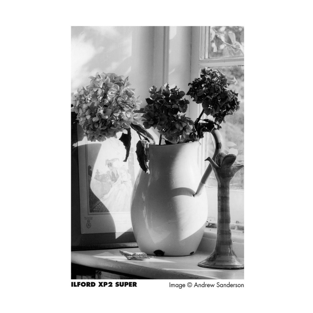 Фотопленка Ilford XP2 Super 400 135/24, 1 шт