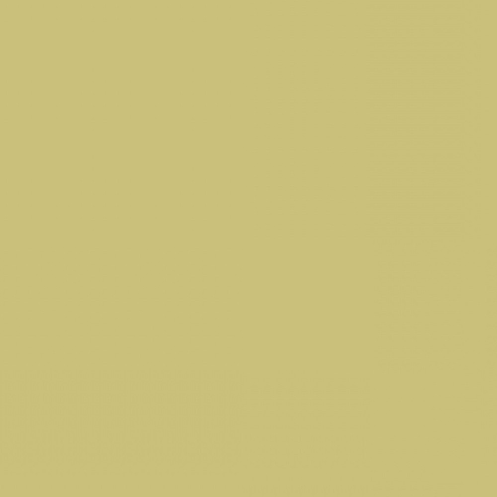 Фон бумажный Colorama LL CO112 2,72 х 11 м., цвет FERN