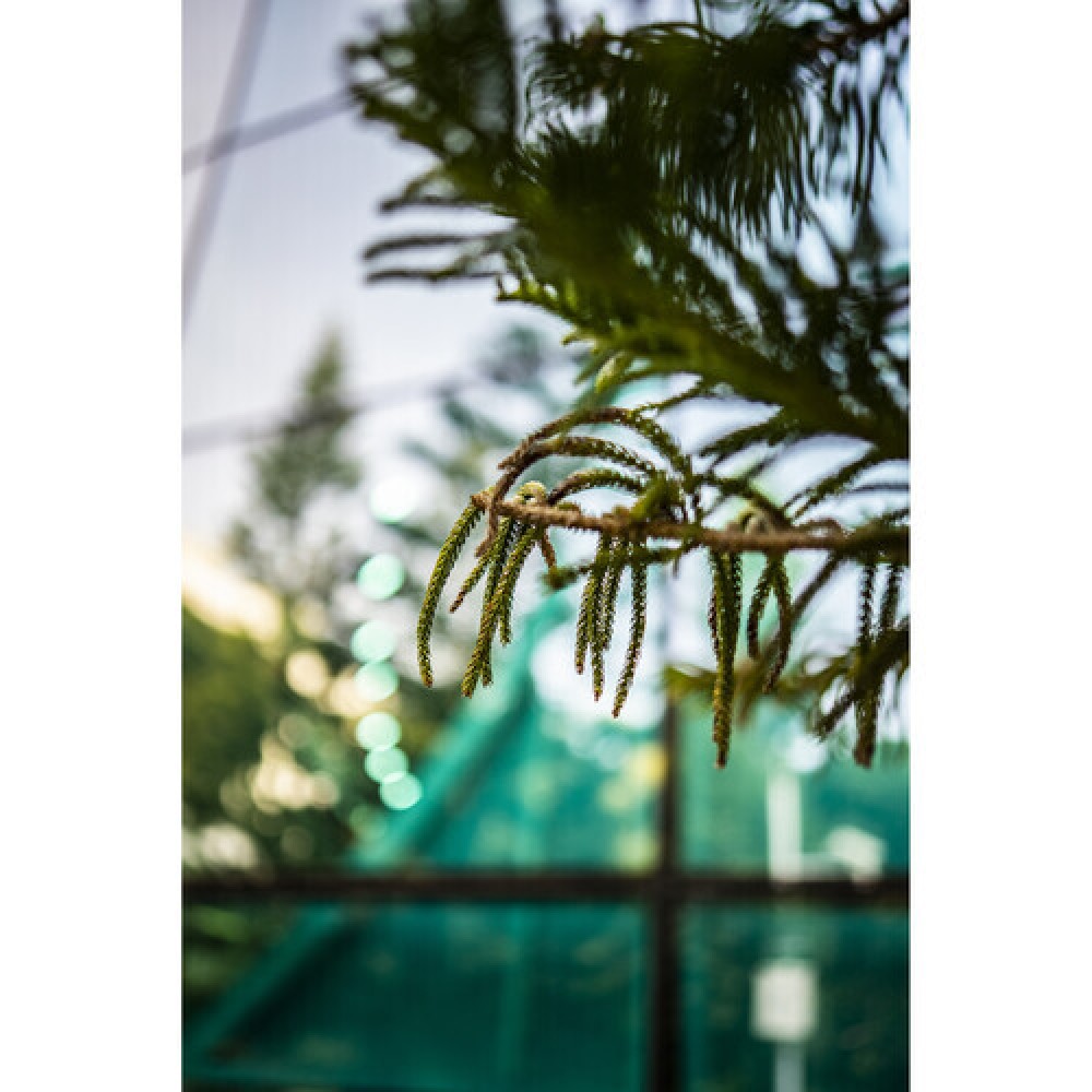 Объектив Viltrox AF 35mm F1.8 FE для Sony FE